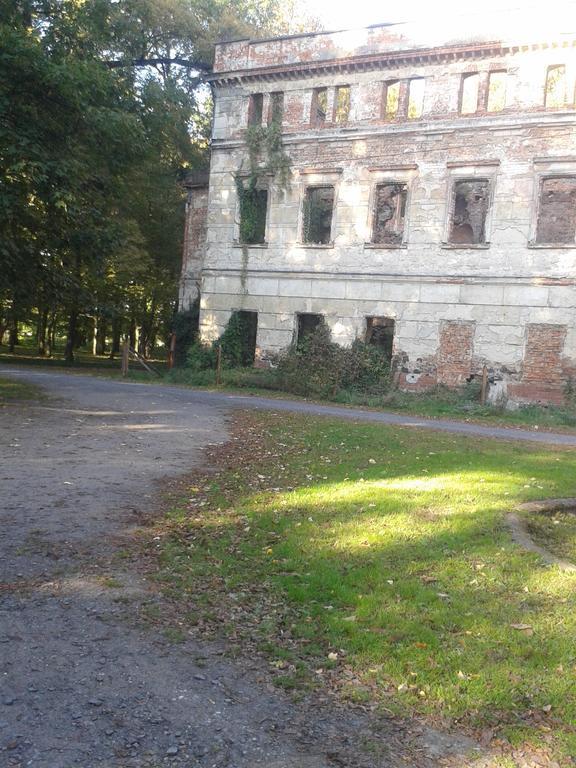 Gosciniec Sloneczny Hotel Drzonkow ภายนอก รูปภาพ